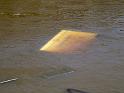 Hochwasser (335)
